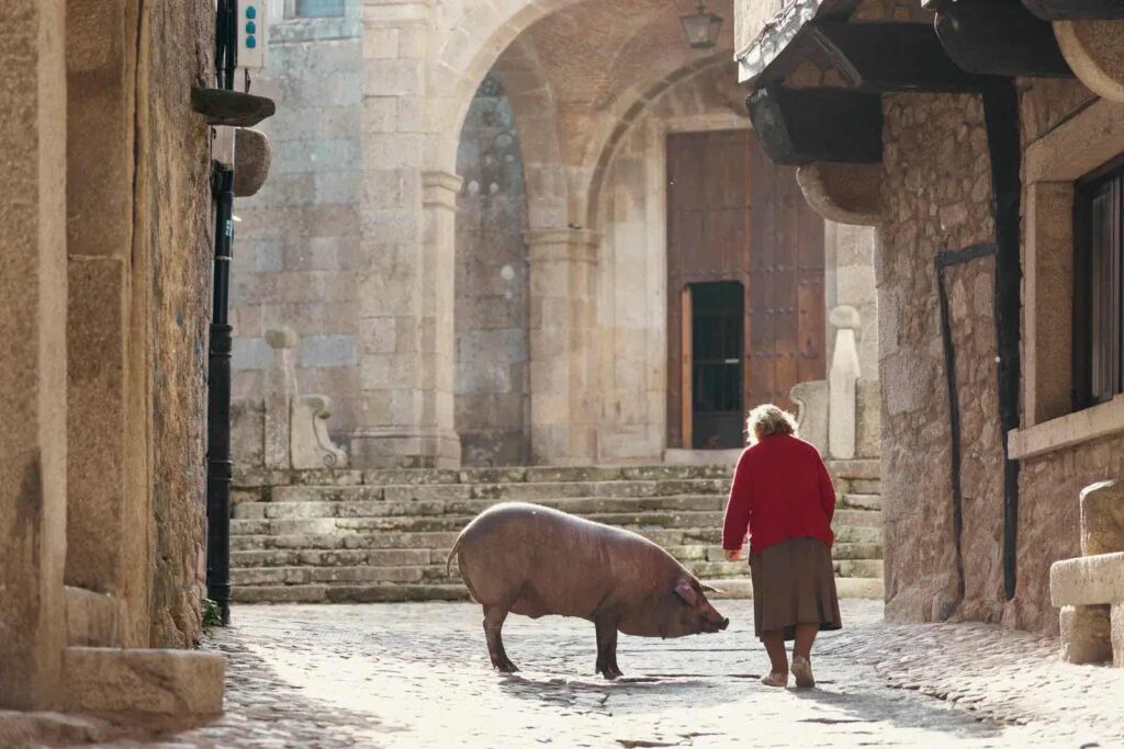 Marrano de San Antón 