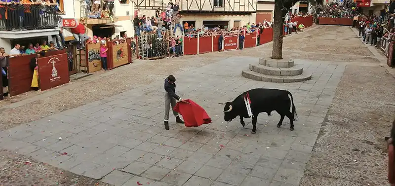 Fiestas del Cristo