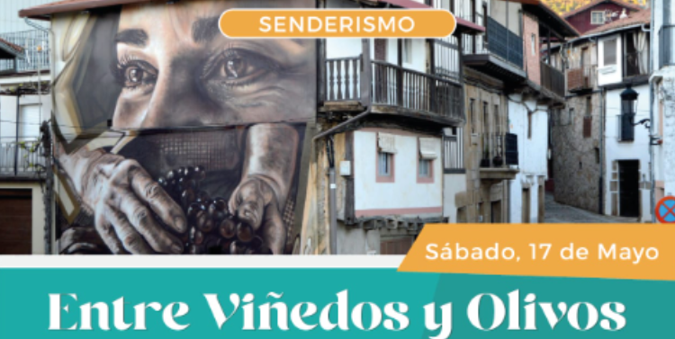 Ruta entre Viñedos y Olivos en Sotoserrano