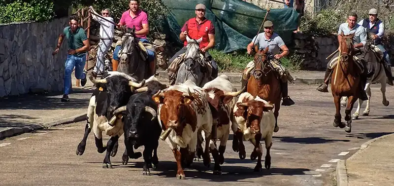 Encierro a Caballo