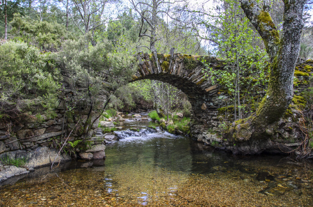 Monsagro sierra de francia 6