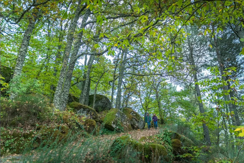 Asentadero-Bosques de los Espejos 5