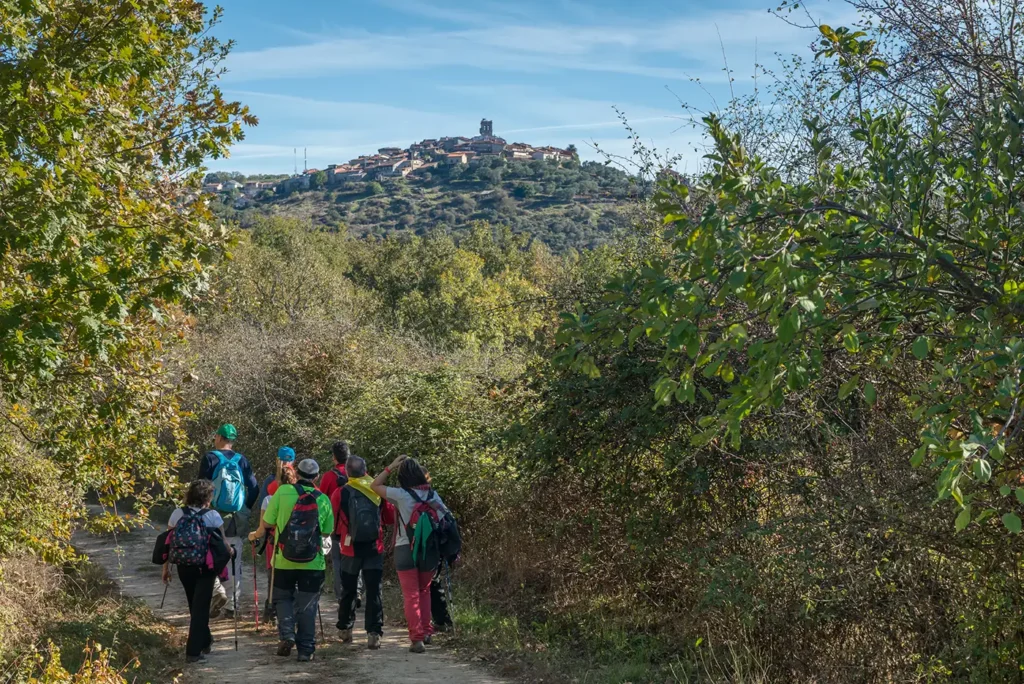 Camino de los prodigios 7