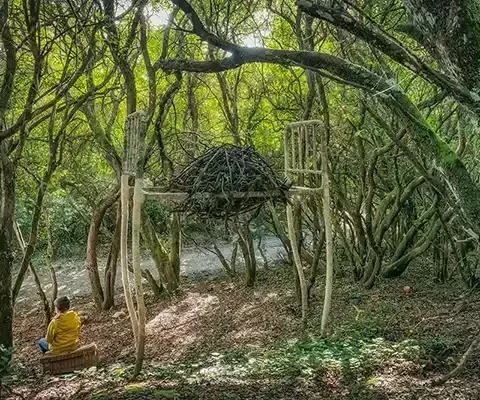 descubre la naturaleza de la sierra de francia