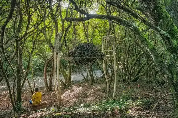 descubre la naturaleza de la sierra de francia