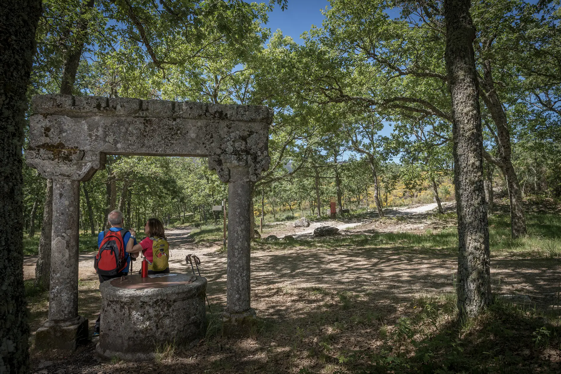 camino de las races sierra de francia