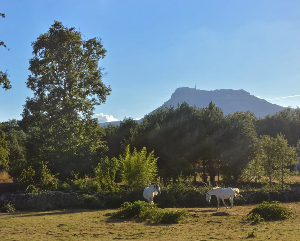 Nava de Francia sierra de francia 6