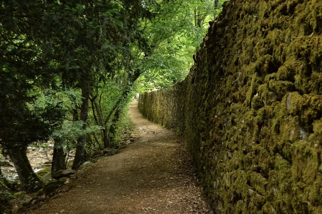 Parque Natural Las Batuecas-Sierra de Francia 2 5