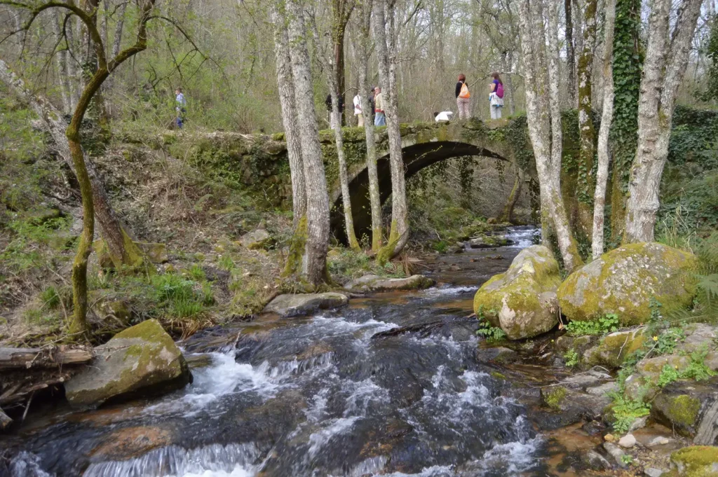 camino del agua en la sierra de francia senderismo 1