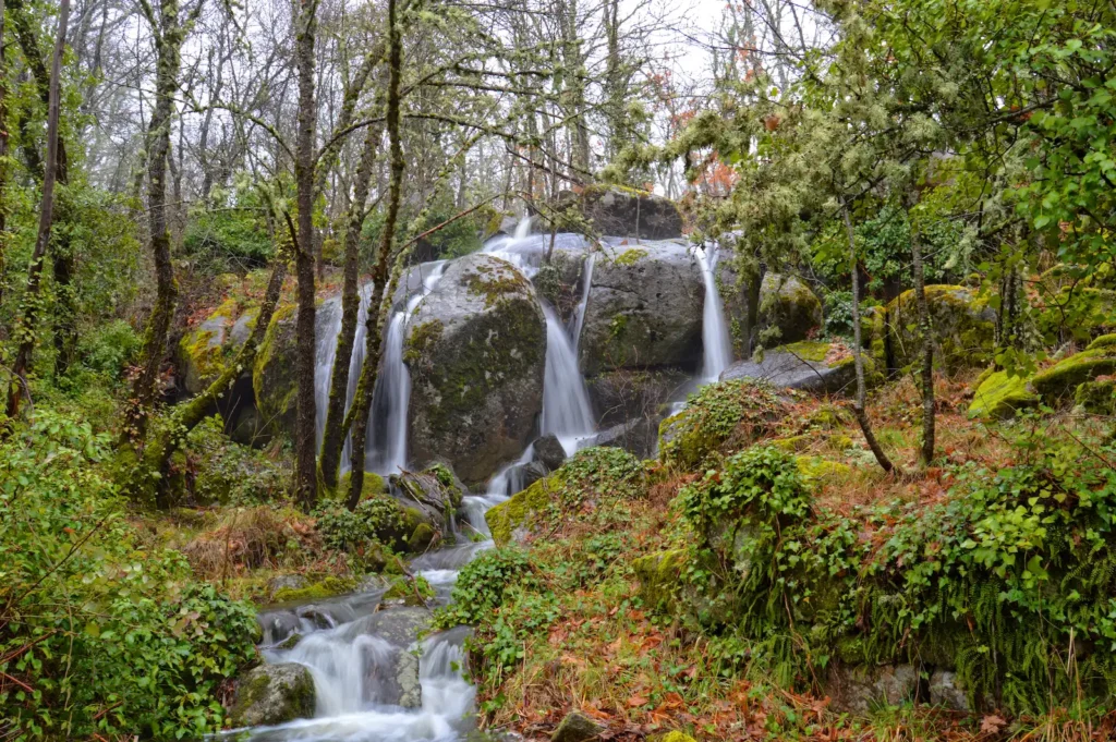 San Martin del Castañar sierra de francia 6