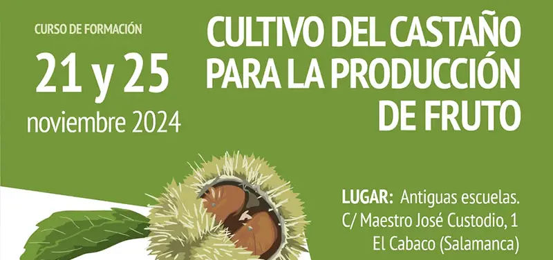 Curso Cultivo Castaño Para Producir Frutos