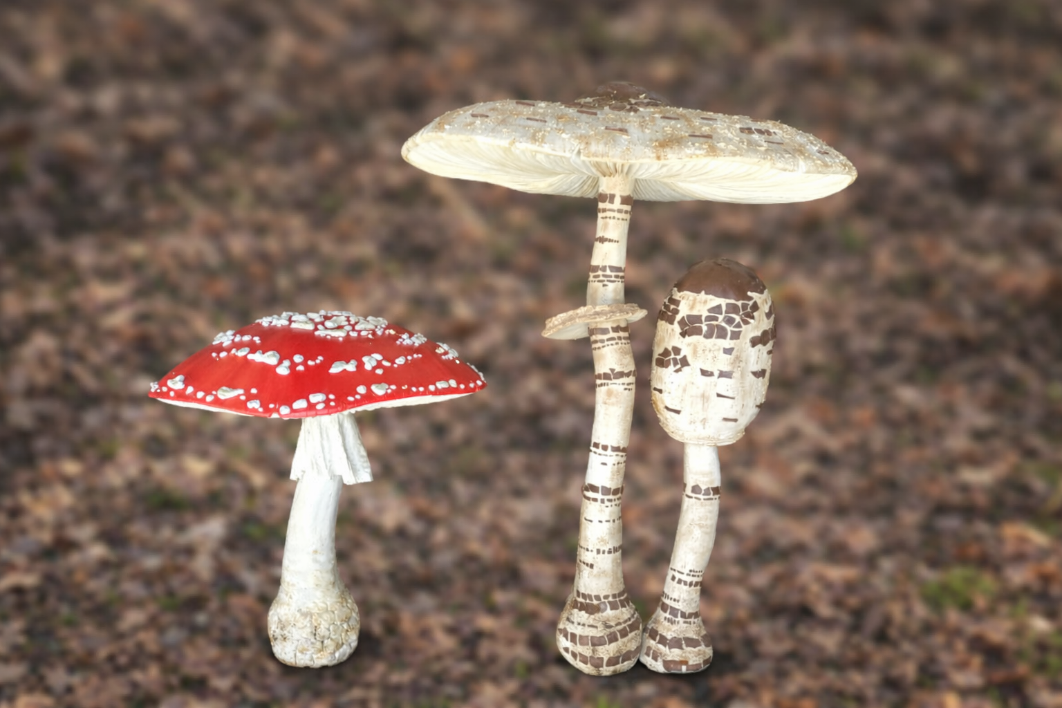 Exposición Reproducciones de setas en Garcibuey