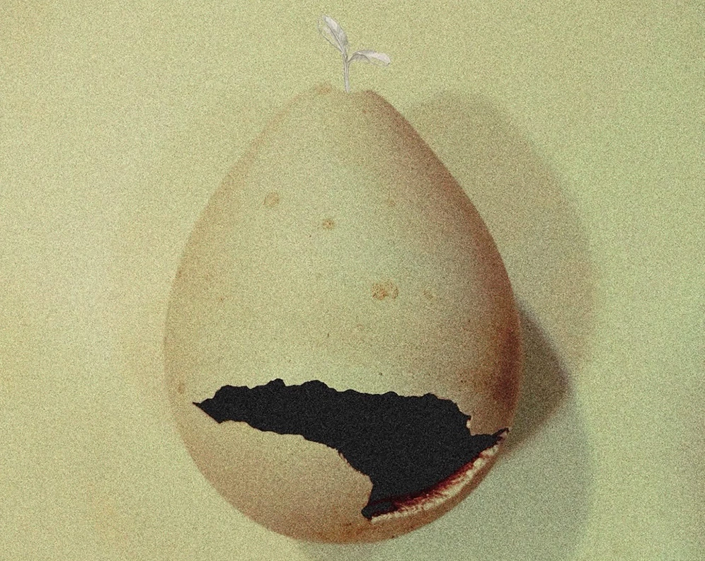 Exposición Semillas Artísticas de la Biosfera
